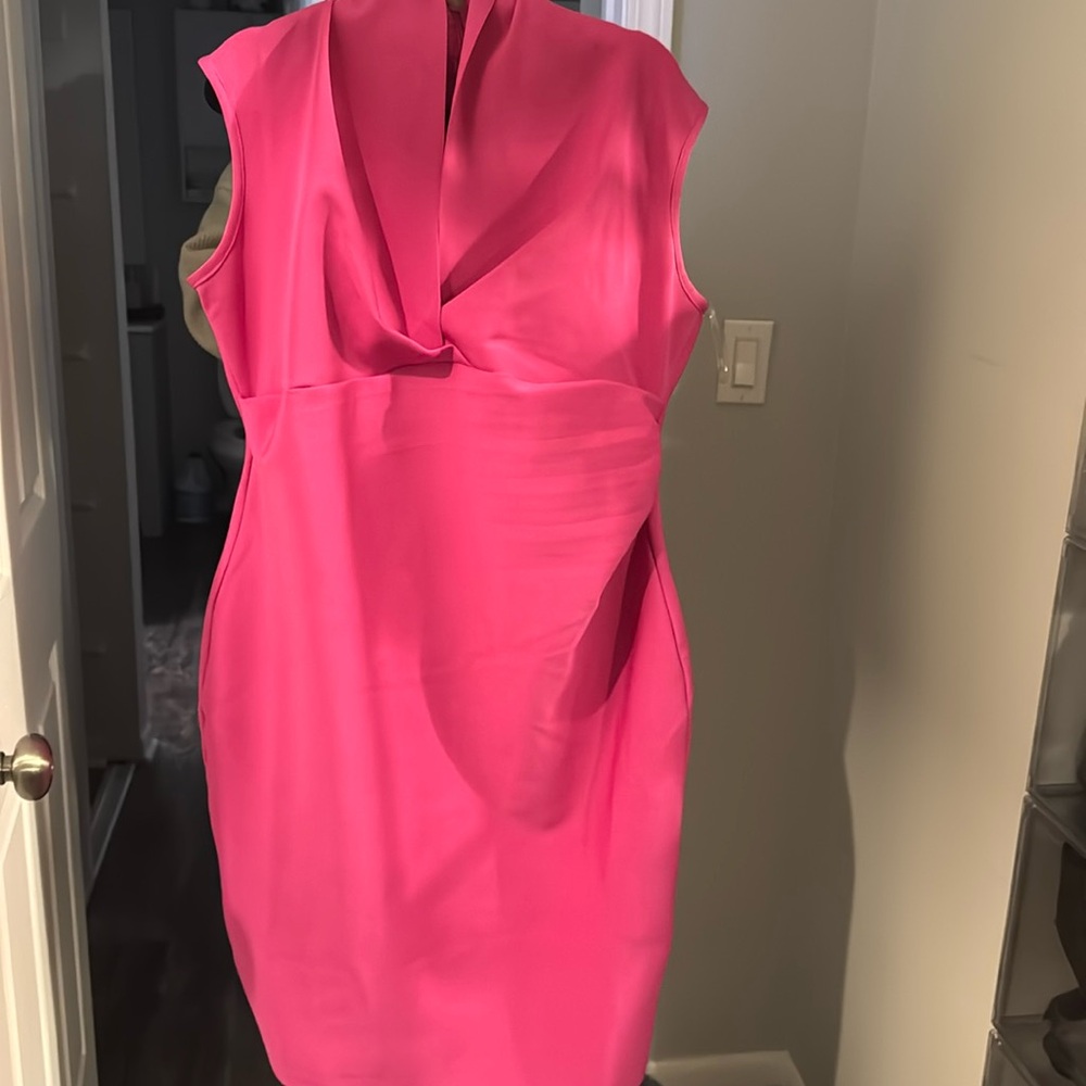 Fuschia plus size dress